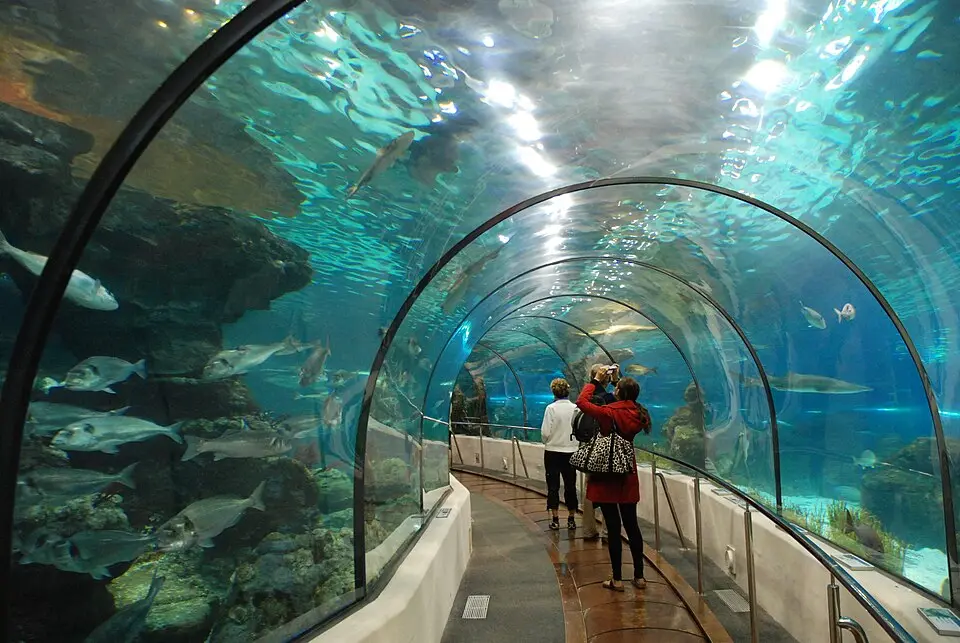 L'Aquàrium de Barcelona