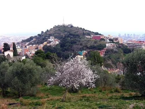 Búnquers del Carmel