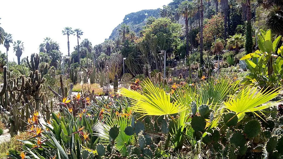 Jardins de Mossèn Costa i Llobera, Barcelona